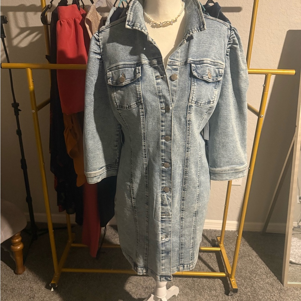 Venus Denim Button-Up Dress